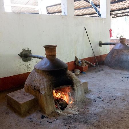 Mangaal Farmstay Goa Vichondrem Екстериор снимка