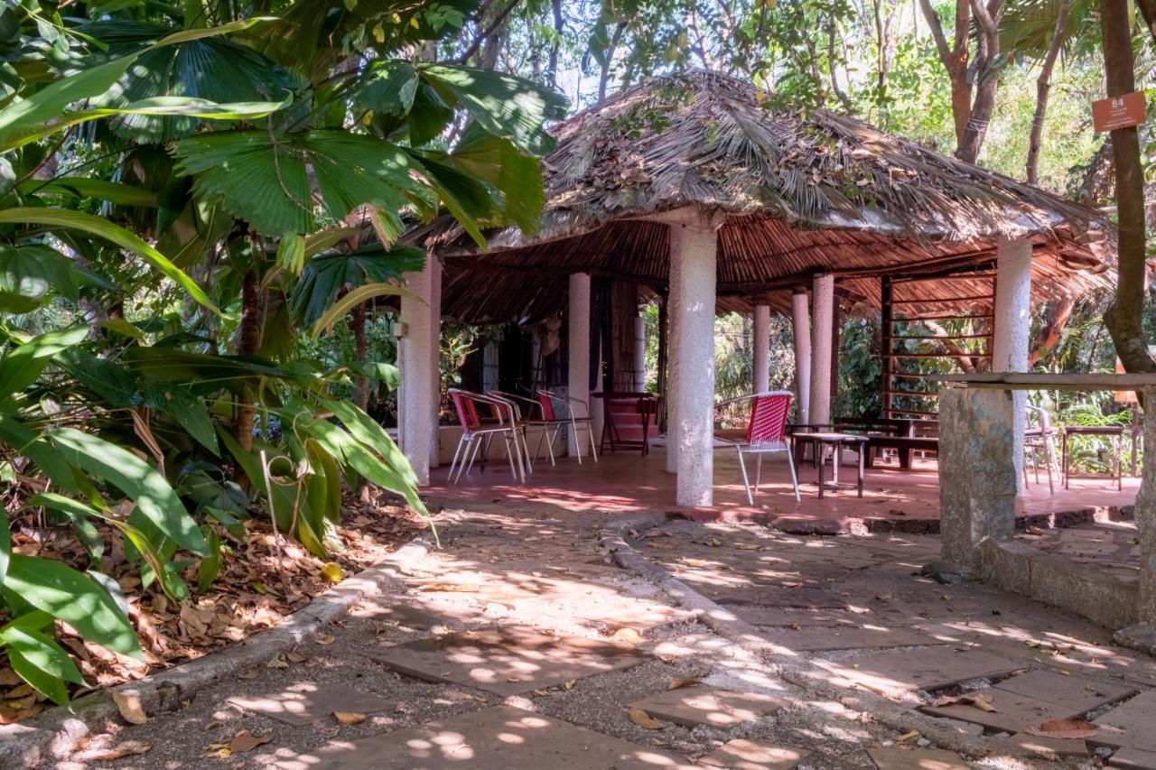 Mangaal Farmstay Goa Vichondrem Екстериор снимка