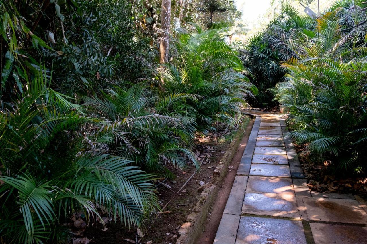 Mangaal Farmstay Goa Vichondrem Екстериор снимка