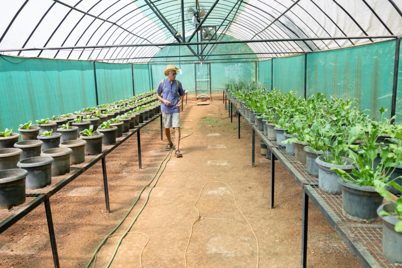 Mangaal Farmstay Goa Vichondrem Екстериор снимка