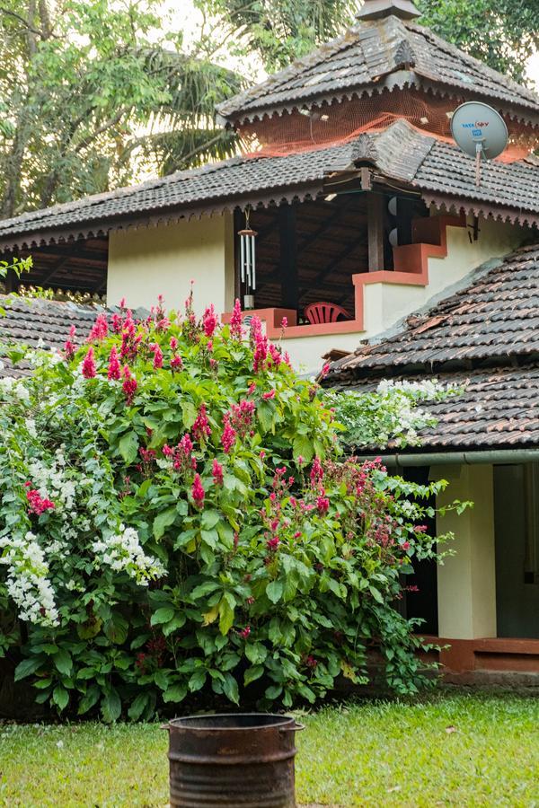 Mangaal Farmstay Goa Vichondrem Екстериор снимка