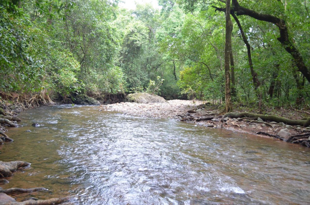 Mangaal Farmstay Goa Vichondrem Екстериор снимка
