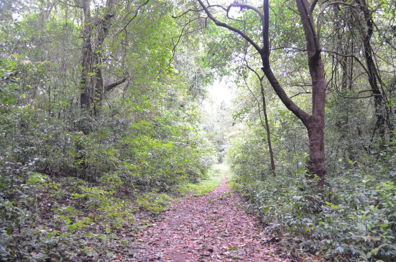 Mangaal Farmstay Goa Vichondrem Екстериор снимка